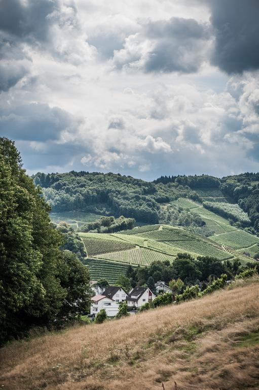 Landhotel Rebstock Oberkirch  Bagian luar foto