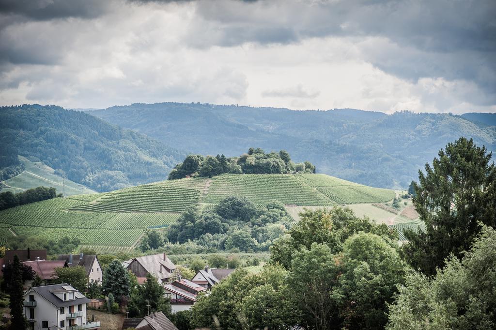 Landhotel Rebstock Oberkirch  Bagian luar foto