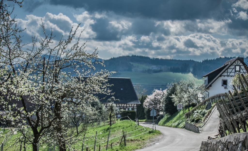 Landhotel Rebstock Oberkirch  Bagian luar foto